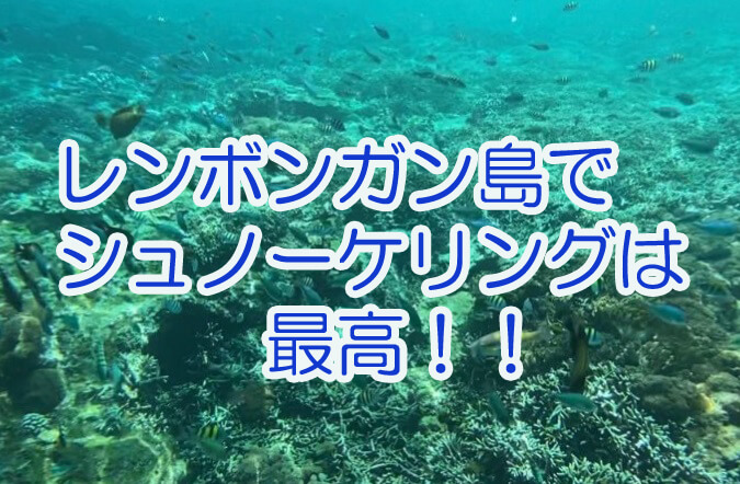 レンボンガン島でのシュノーケリングは家族 子連れ カップルにもおすすめ 体験談旅行記