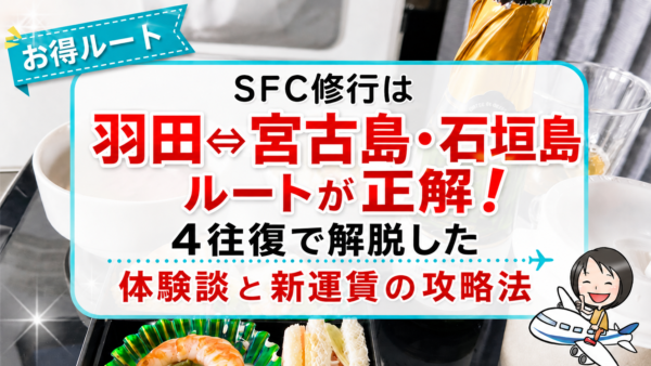 SFC修行で宮古島・石垣島へ、ANA上級会員になった体験