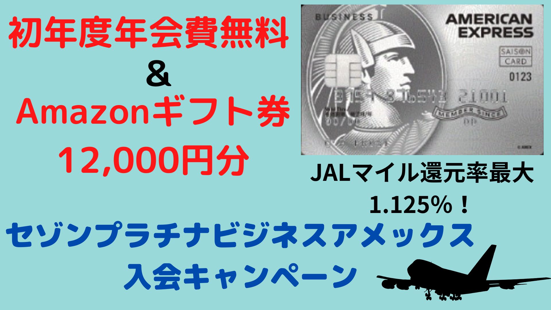 5月：45,000円分お得！】セゾンプラチナビジネスアメックス入会 